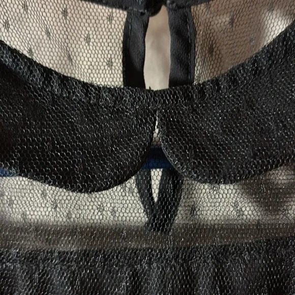 French dot lace Peter Pan collar sheer sleeveless top - Picture 2 of 6